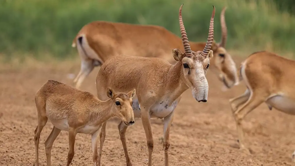 Фото: ТАСС/Эрик Романенко