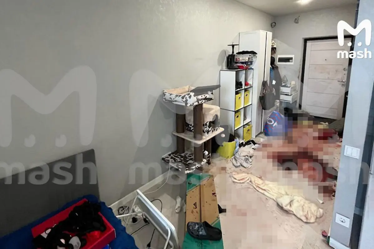 Фото: Telegram-канал «Mash»