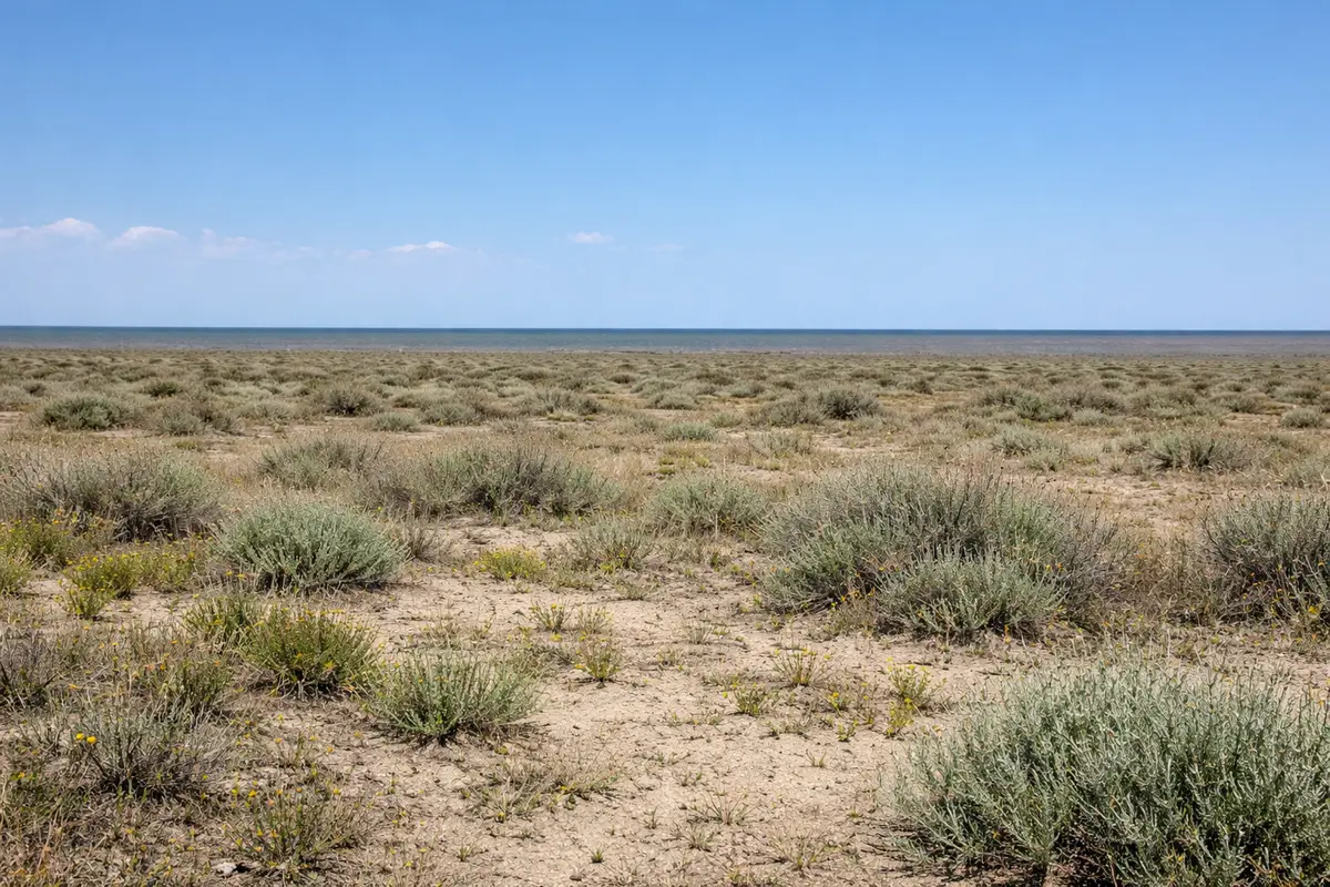 Фото из архива Lada.kz, улучшенное с помощью ИИ