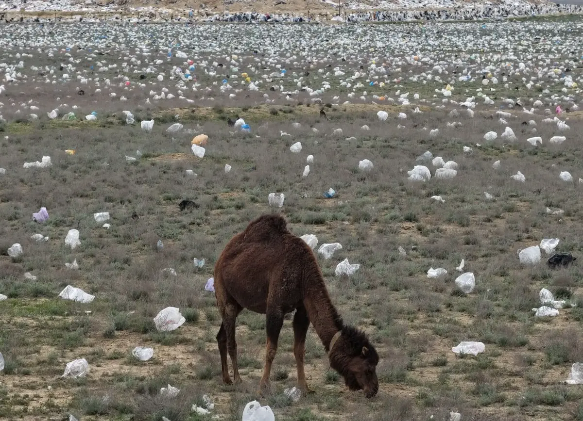Фото Азамата Сарсенбаева