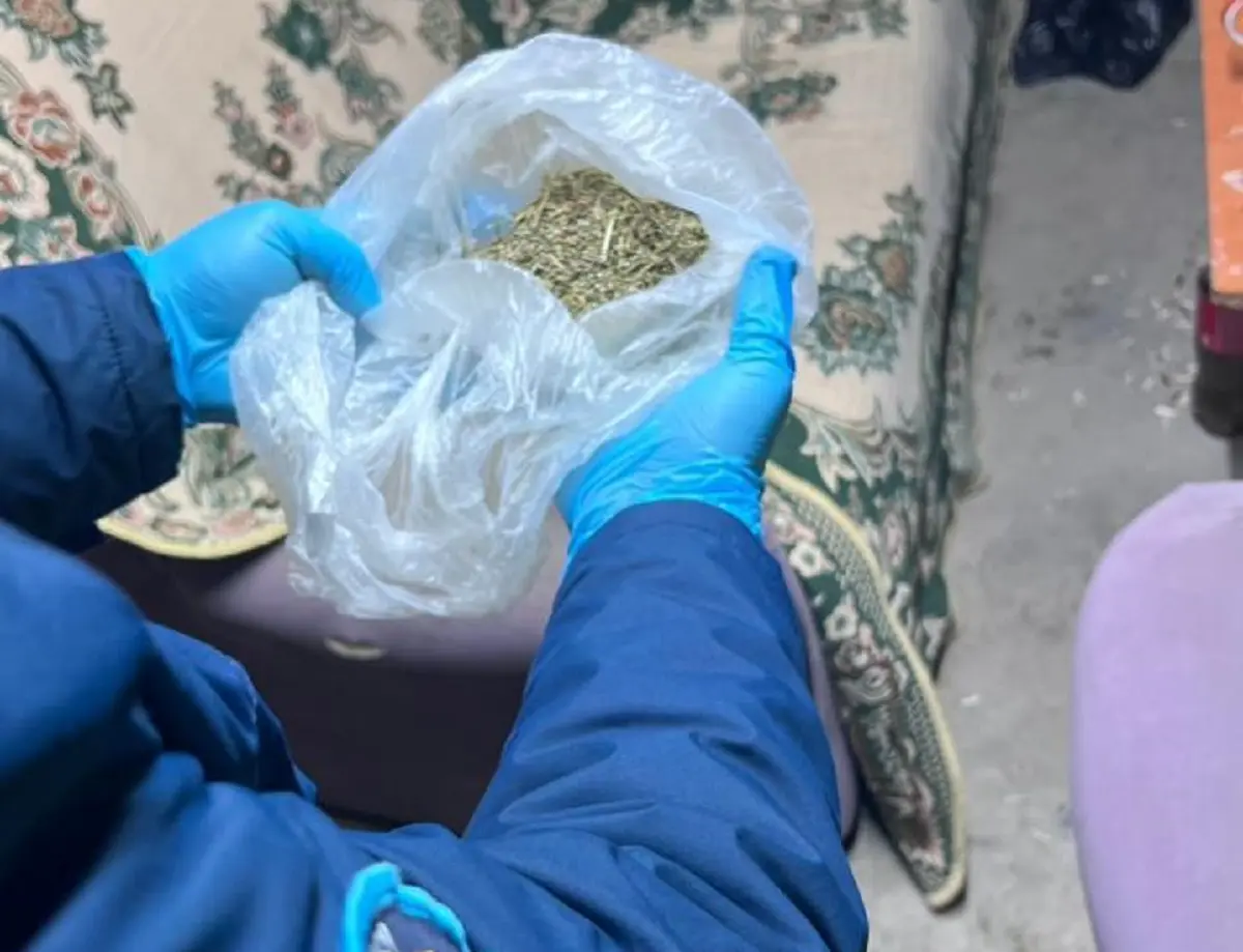 Фото пресс-службы ведомства