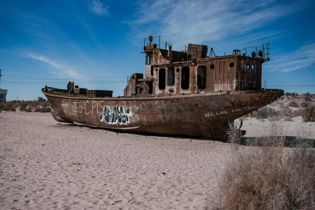 Фото: Khusen Rustamov / pexels.com