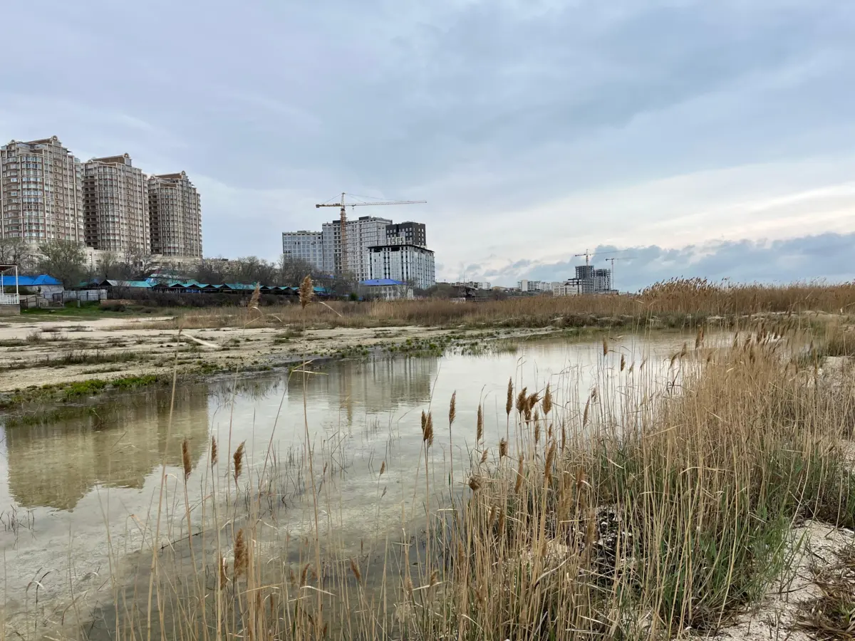 Фото автора