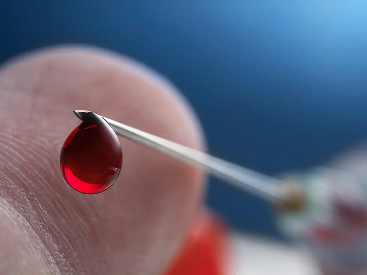 Фото:  Shutterstock