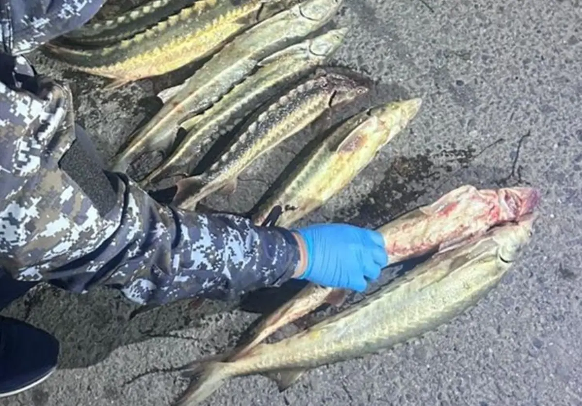 Фото: департамент полиции Мангистауской области