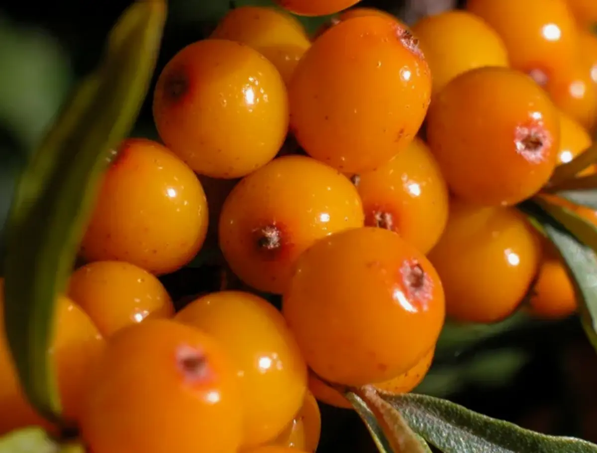 Фото: depositphotos.com