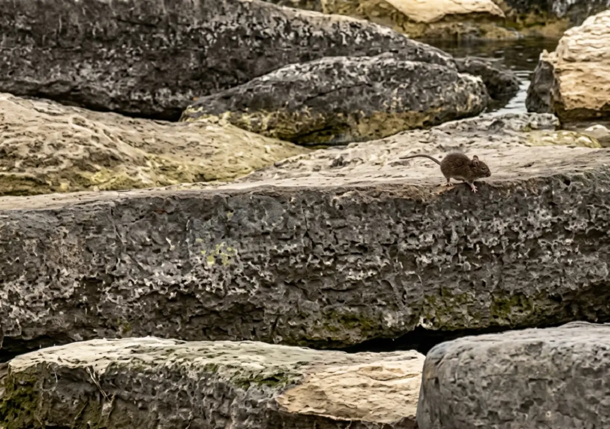 Качество кадра улучшено с помощью искусственного интеллекта