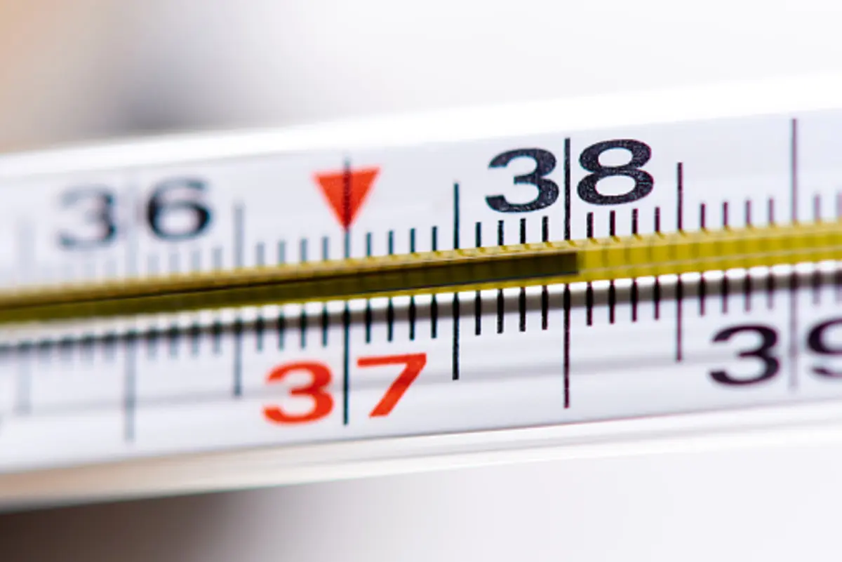 Фото: istockphoto.com