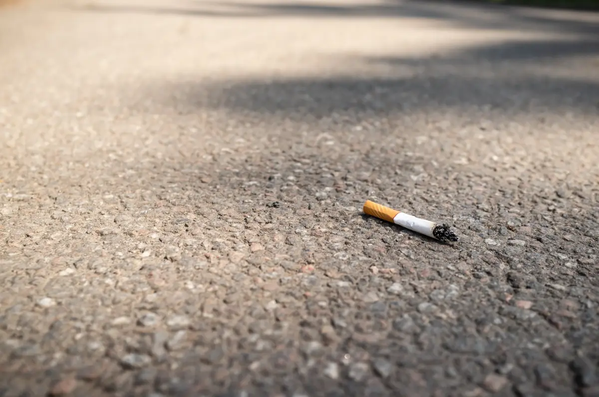 Иллюстративное фото: envato.com