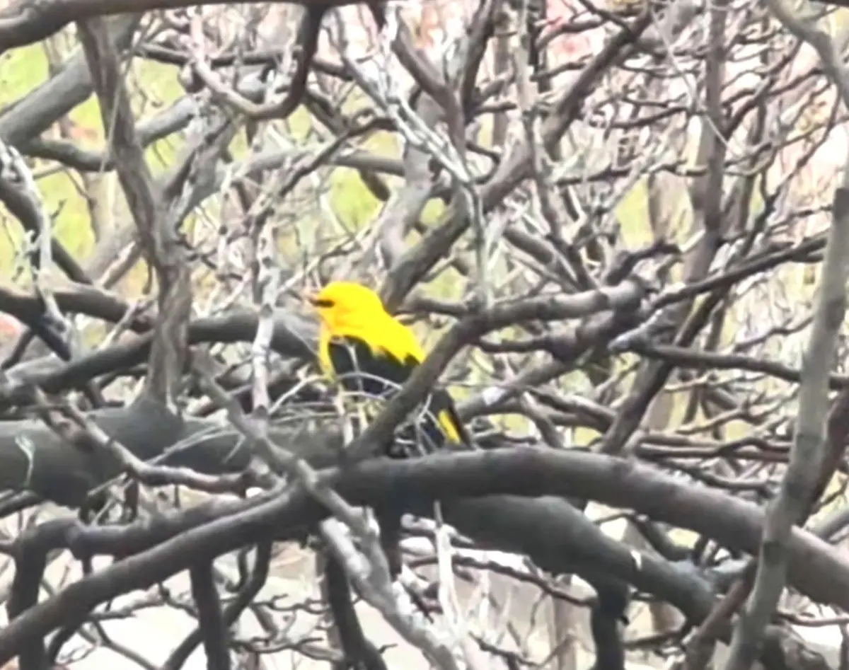 Скриншот из видео instagram.com/yekate__rina/