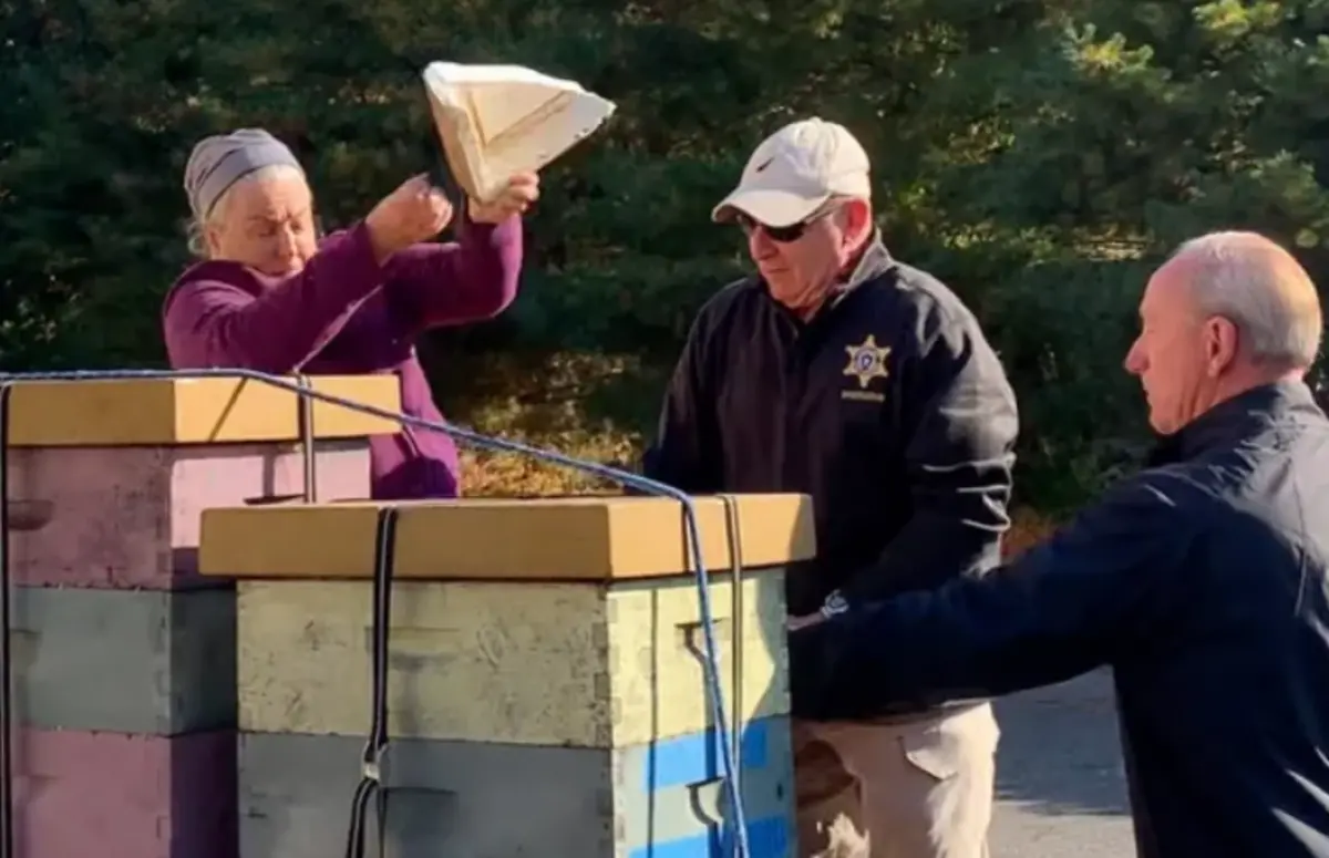 Фото: Hampden County Sheriff's Office