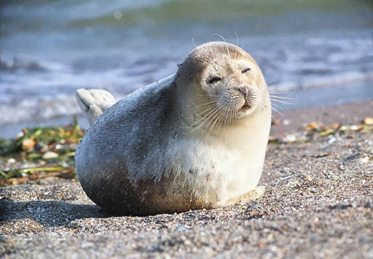 Фото istockphoto.com