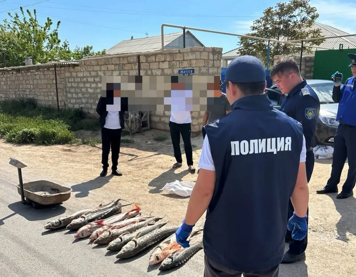 Двойной «улов»: вблизи Актау полицейские изъяли осетров и гашиш