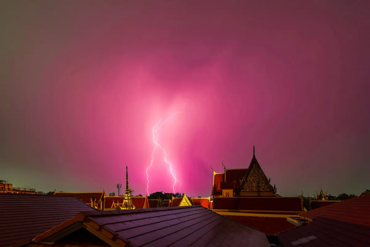 Фото: Ekachai prasertkaew/Shutterstock/FOTODOM
