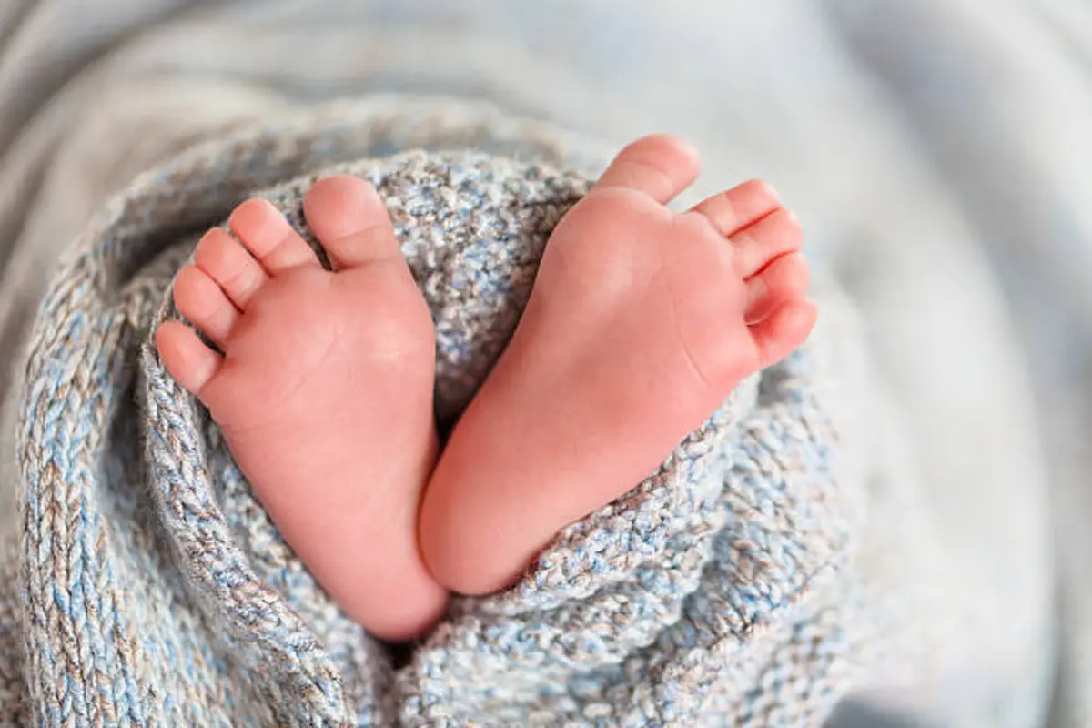 Фото: istockphoto.com