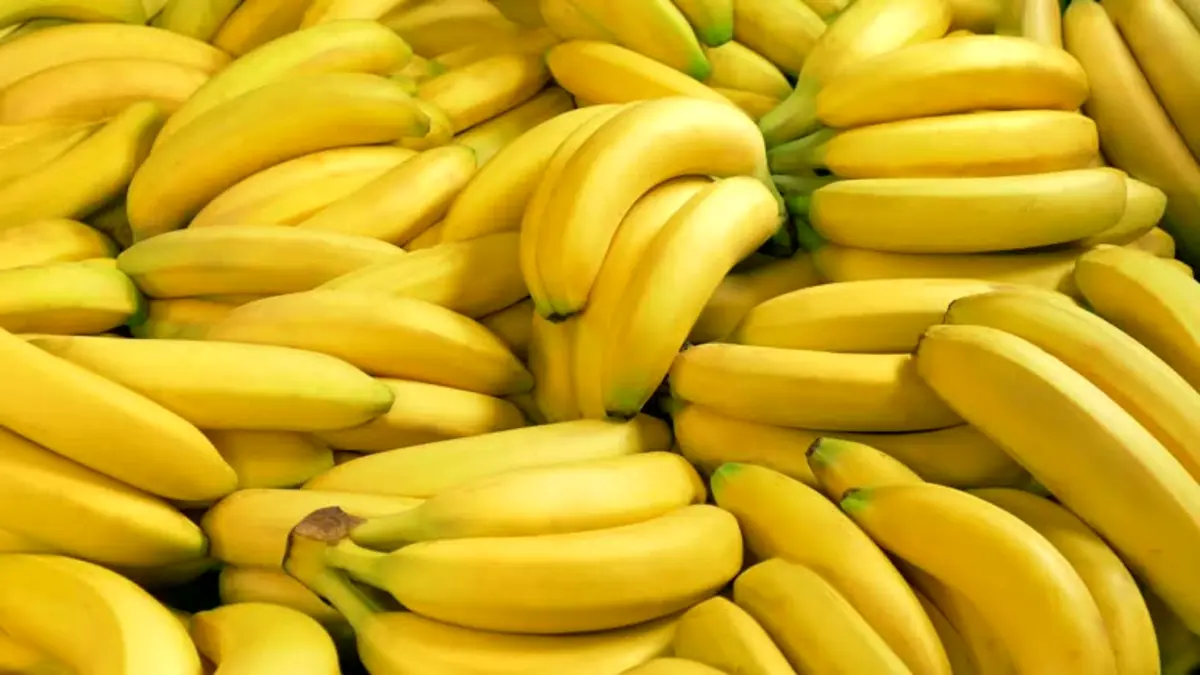 Фото: istockphoto.com