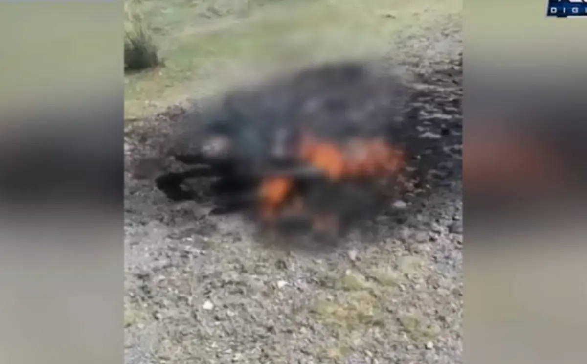Кадр из видео