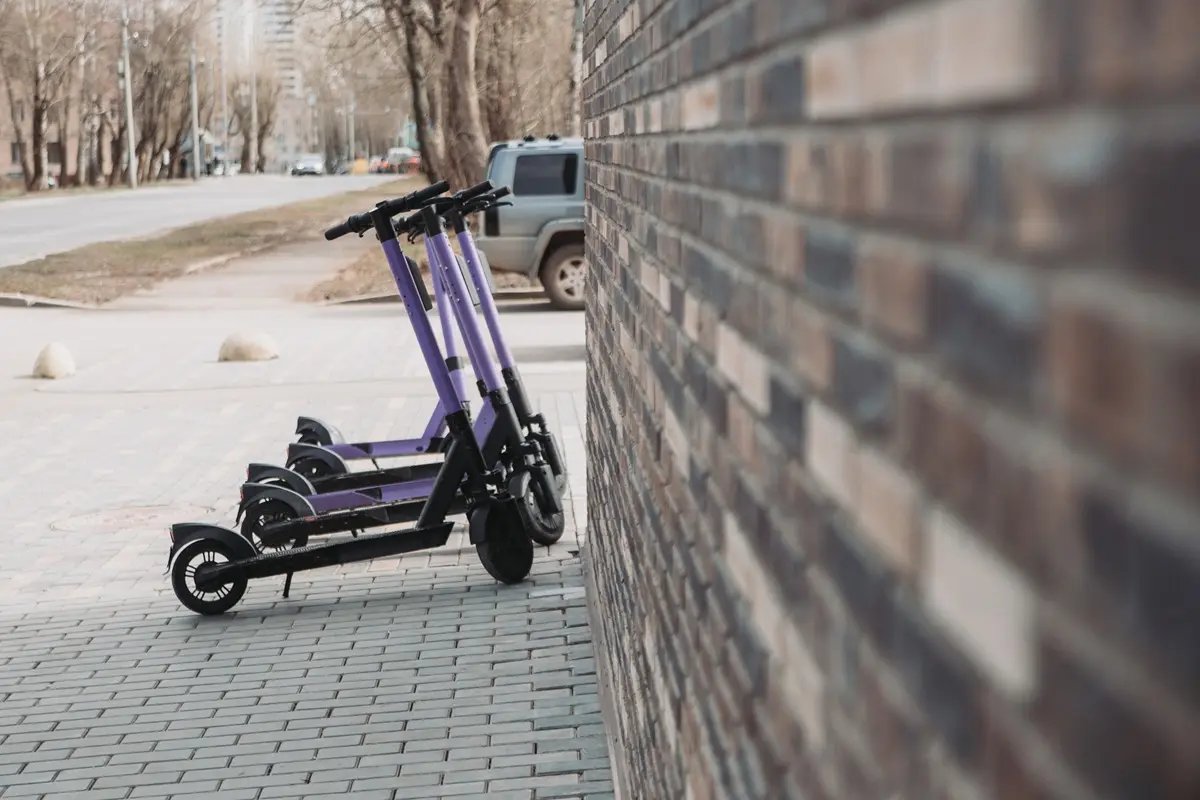 фото с сайта https://app.envato.com/