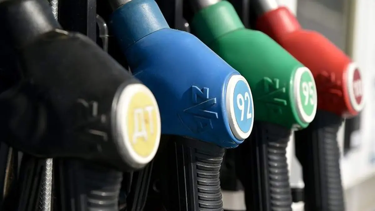 Фото: news.myseldon.com