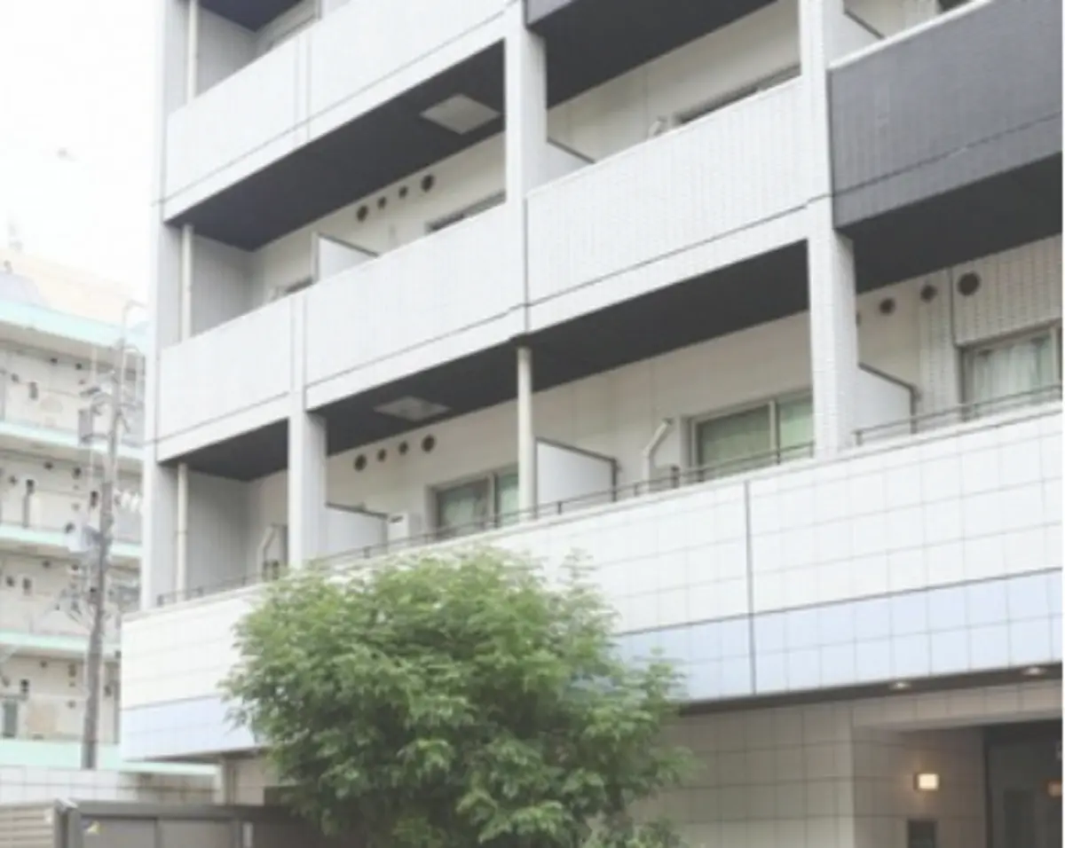 Фото: mainichi.jp