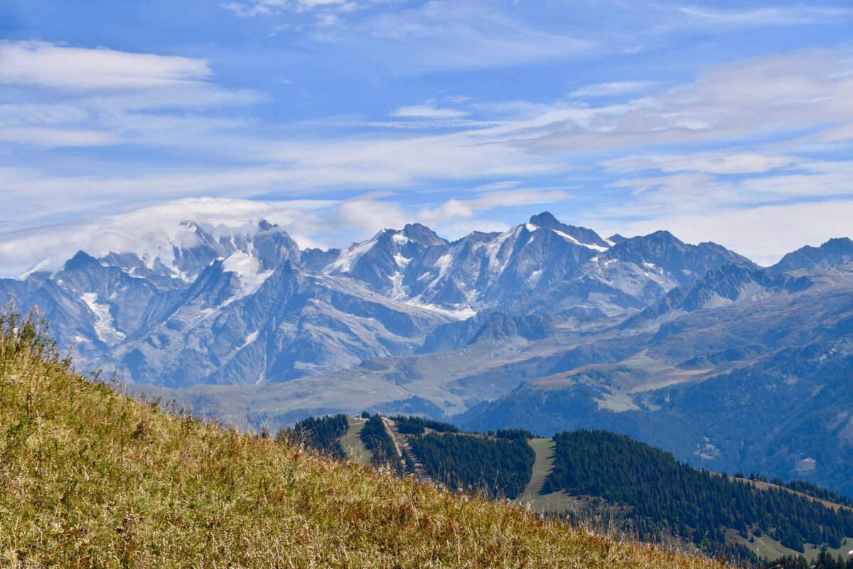 Иллюстративное фото с сайта pixabay.com