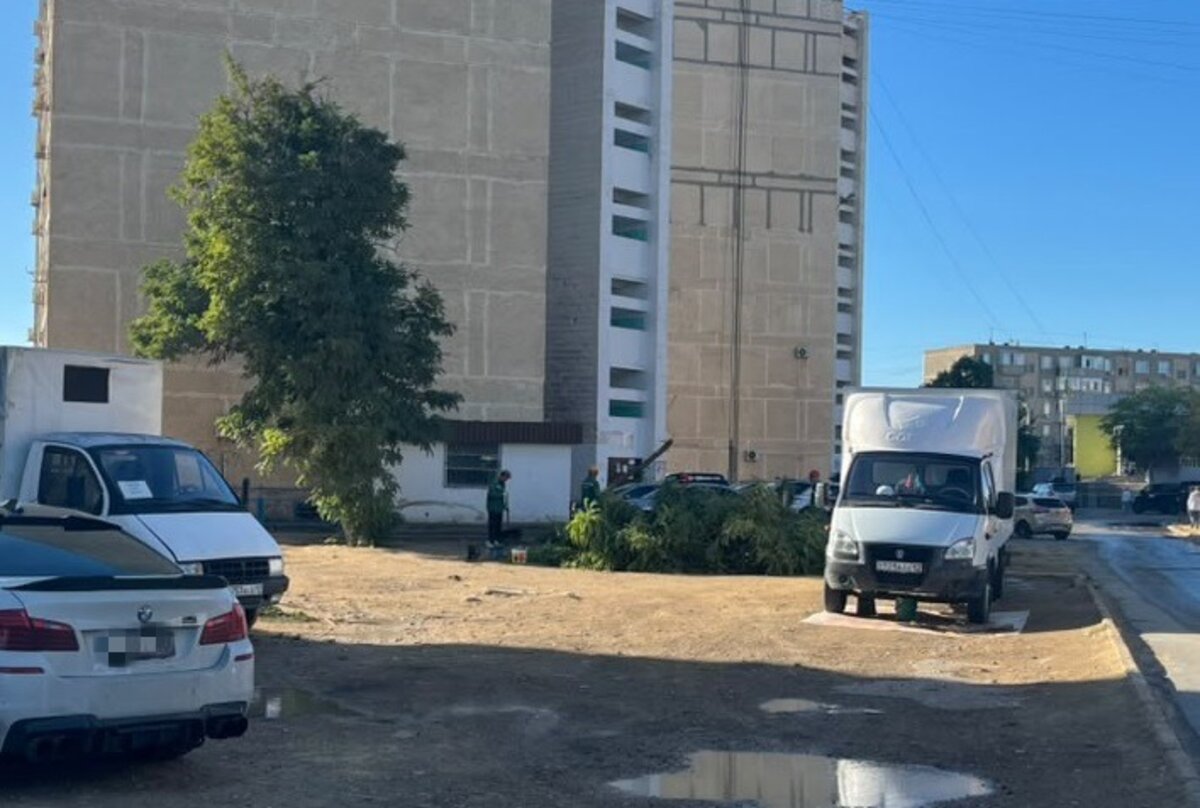 Фото автора