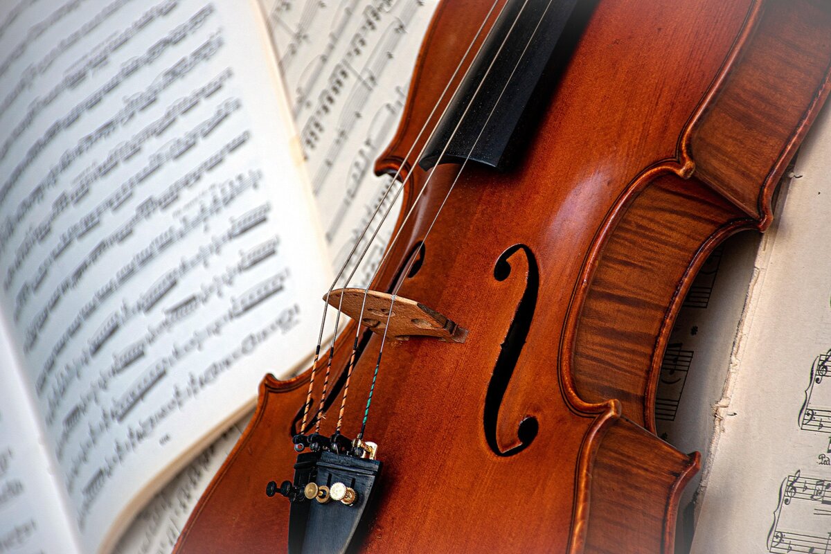 Фото: Pixabay
