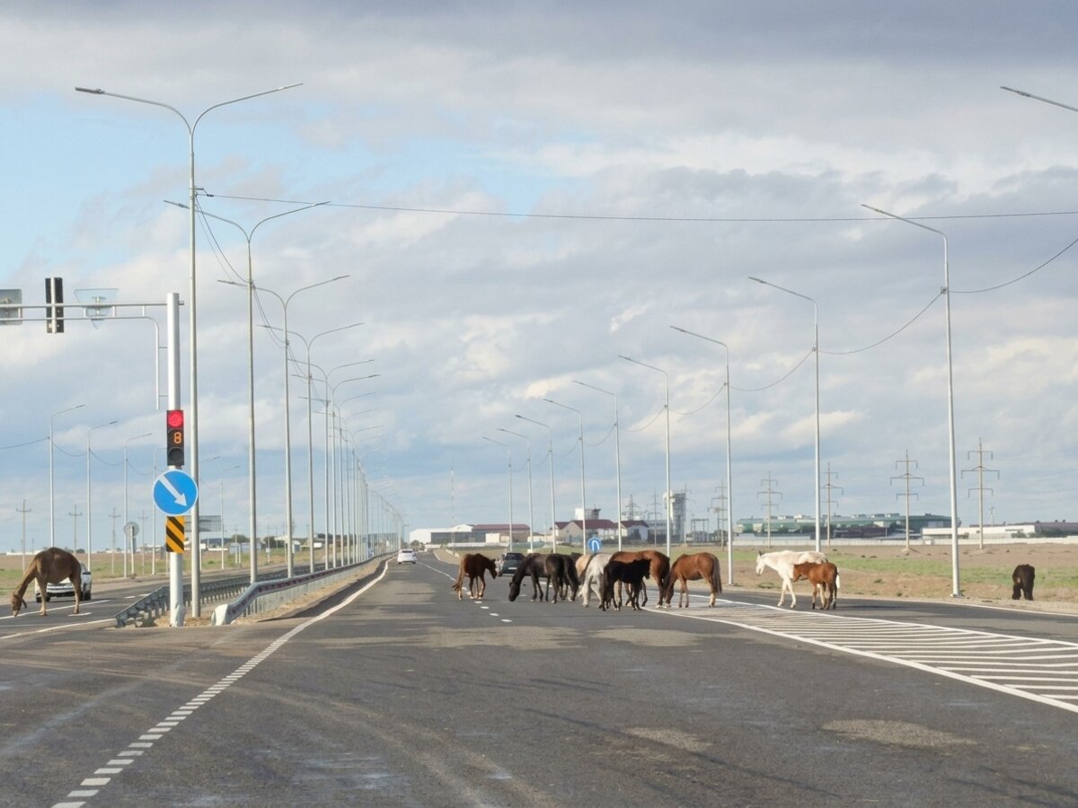 Фото жителей Актау