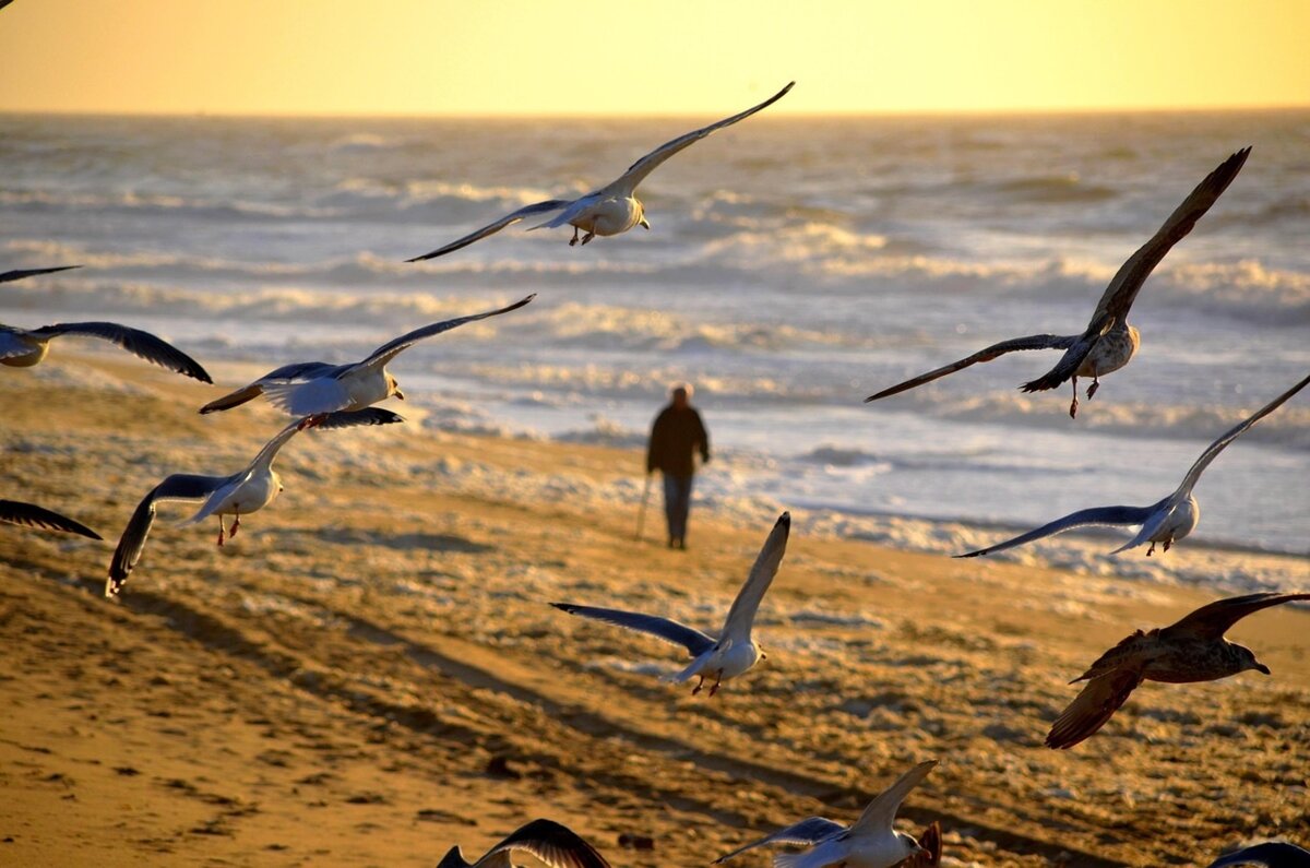 Фото pixabay.com