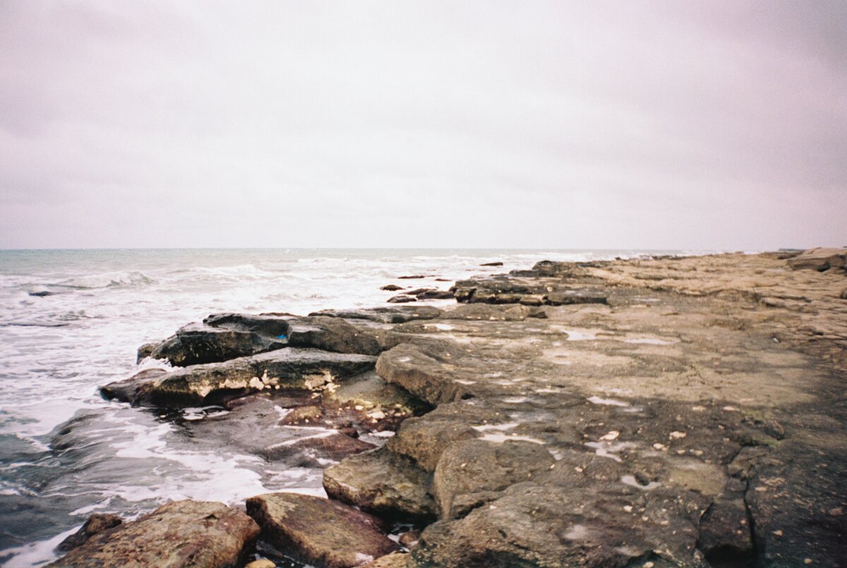 Фото: pexels.com