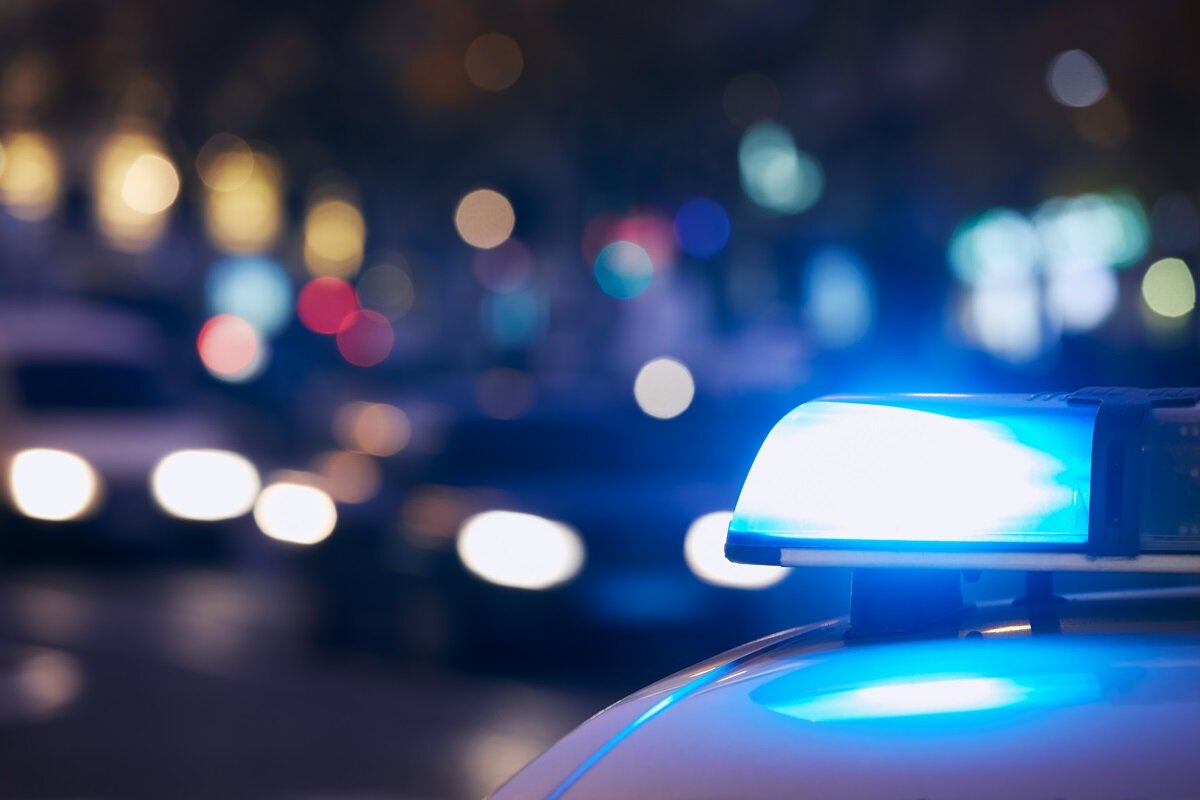 фото с сайта https://app.envato.com/