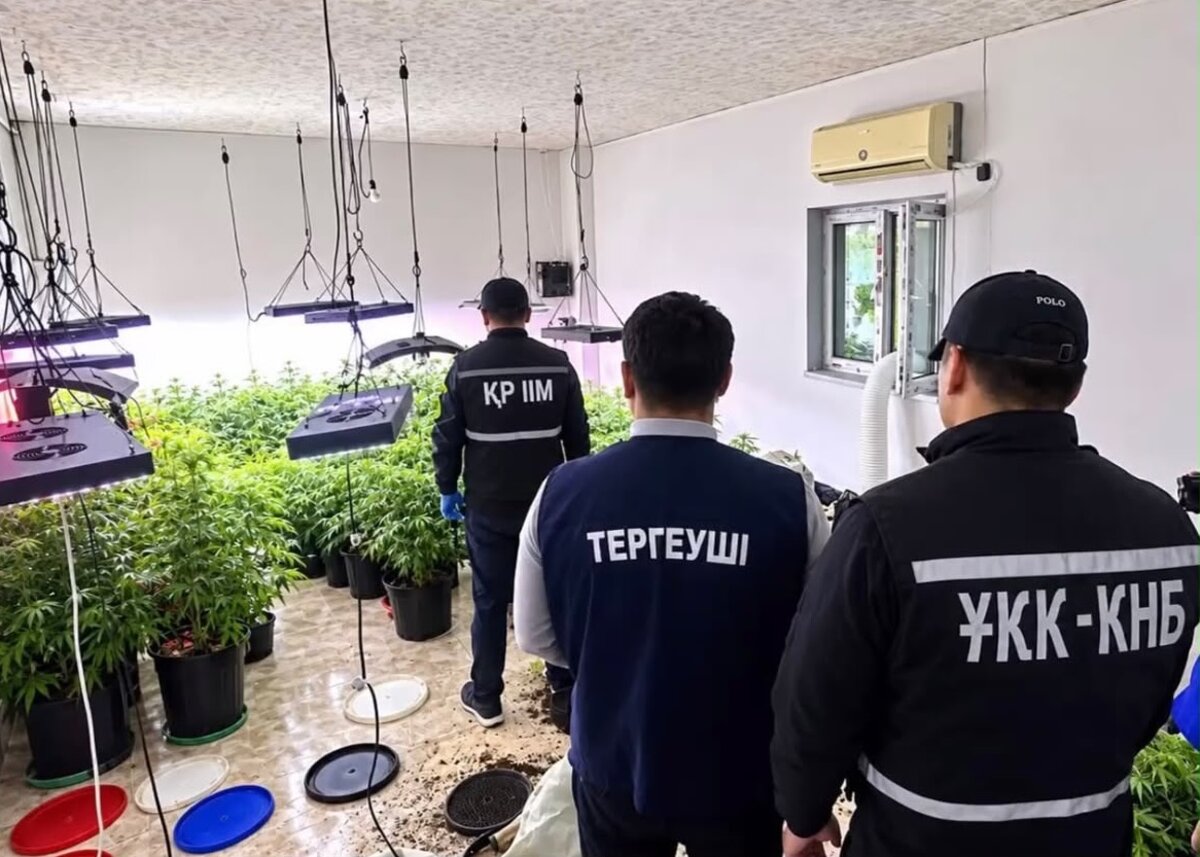Фото: ДП МО