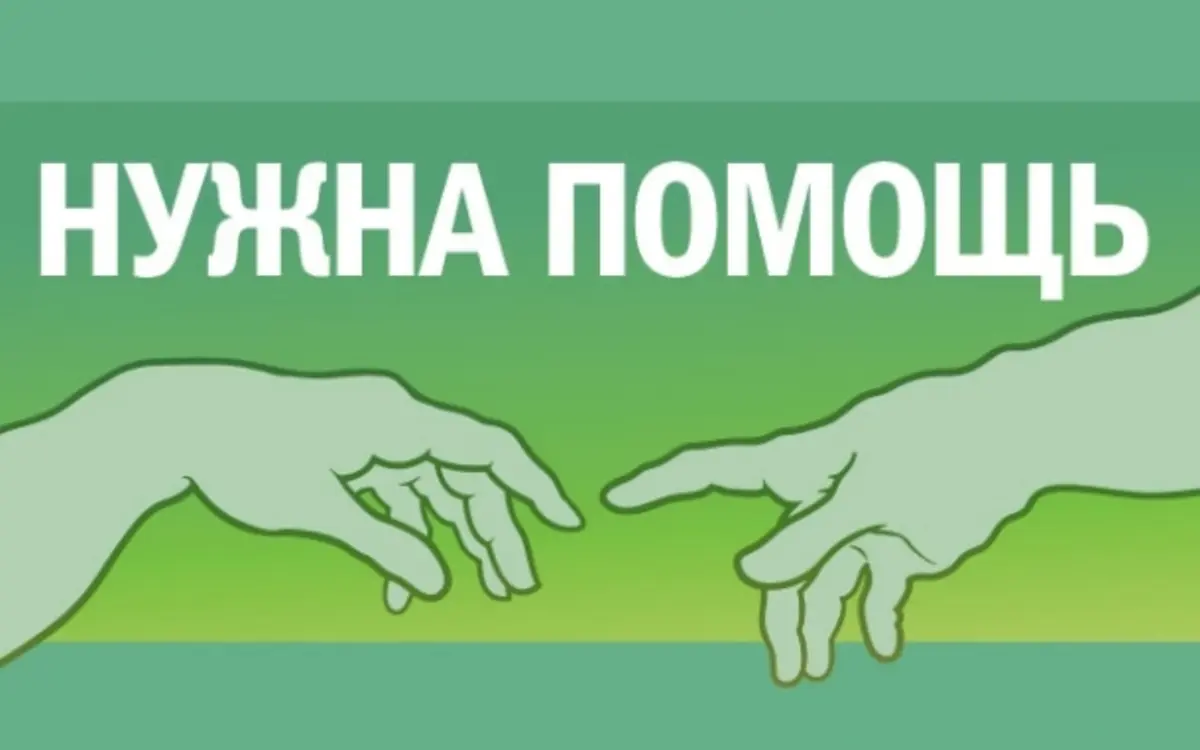 Иллюстрация msk.mr7.ru
