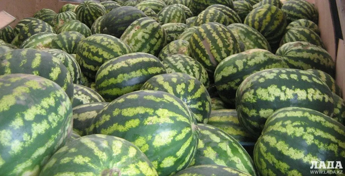 Фото из архива "Лады"