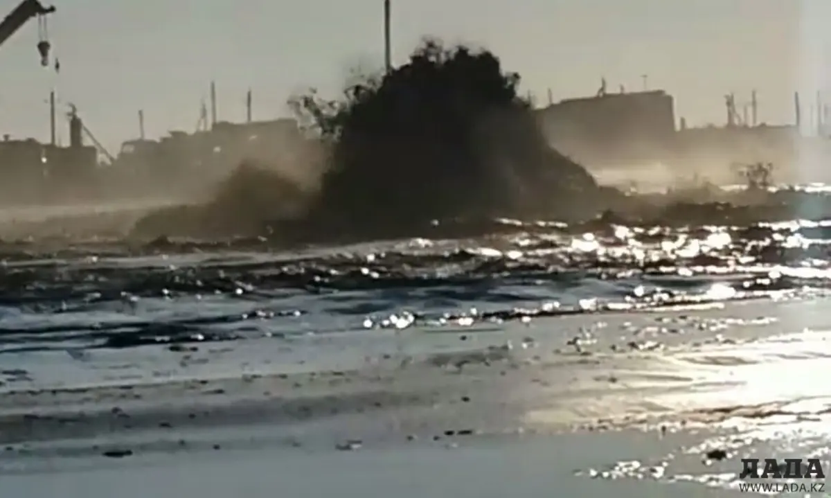 Кадр видео