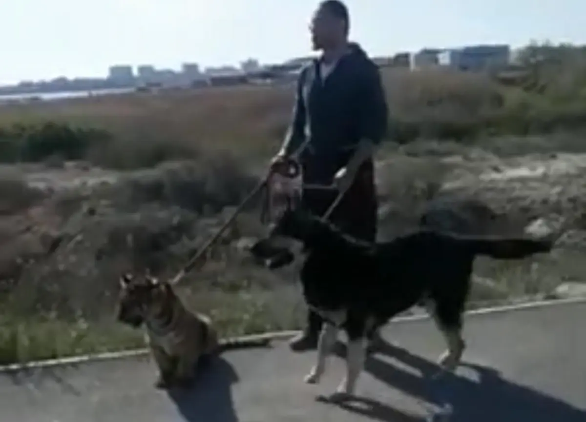 Кадр видео
