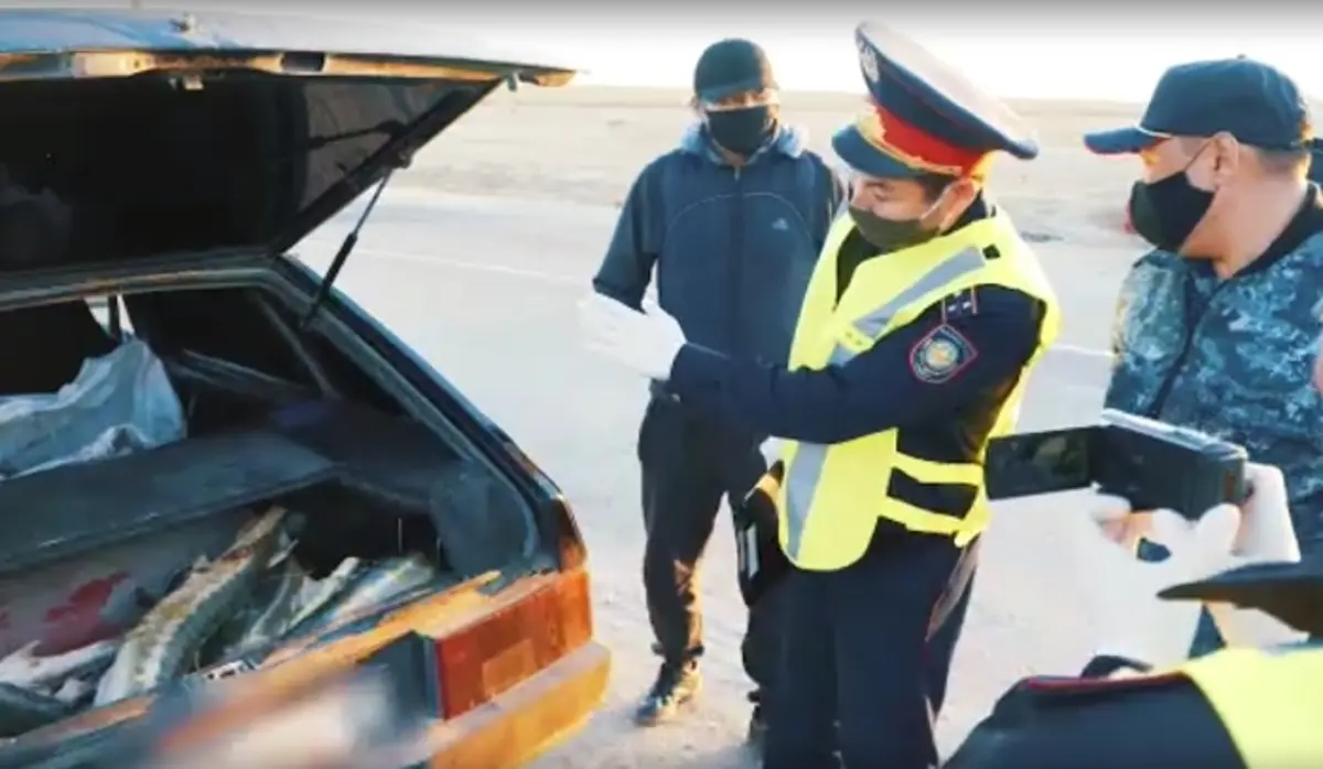 Кадр видео