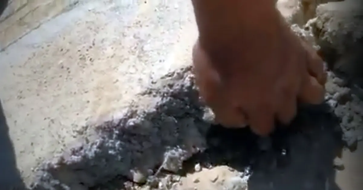 Кадр видео