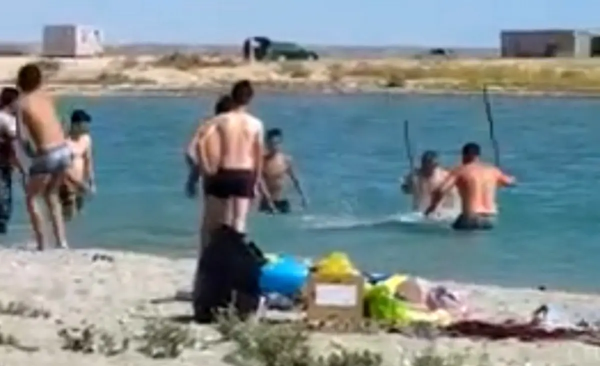 Кадр видео