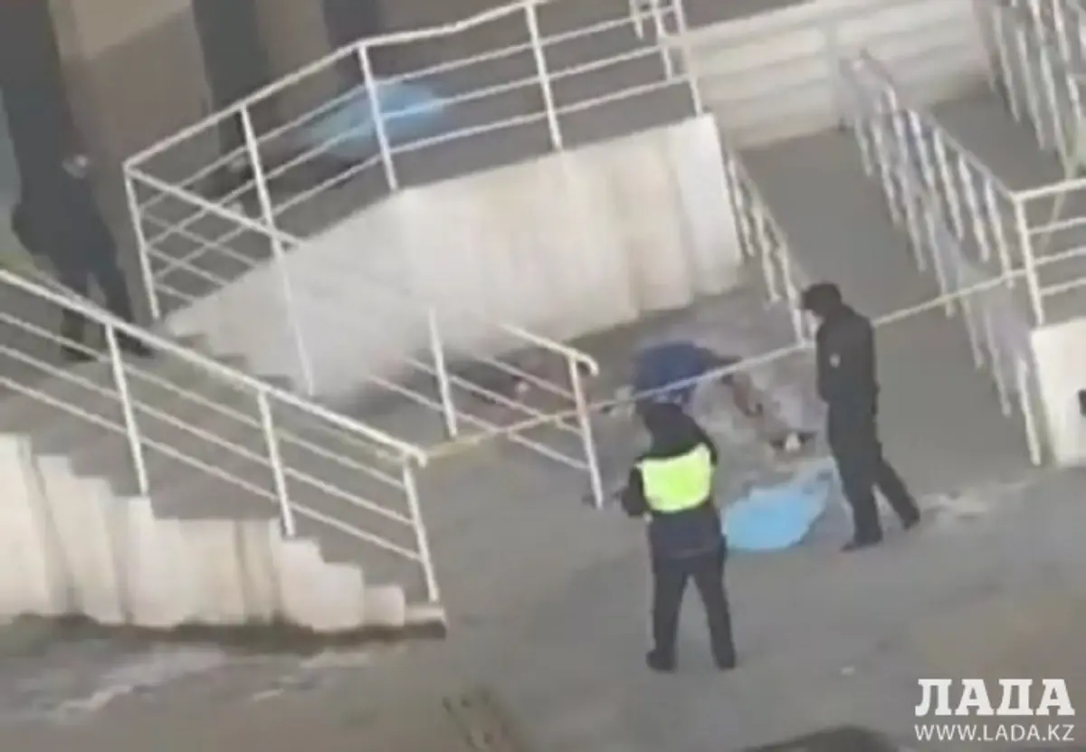 Скрин видео