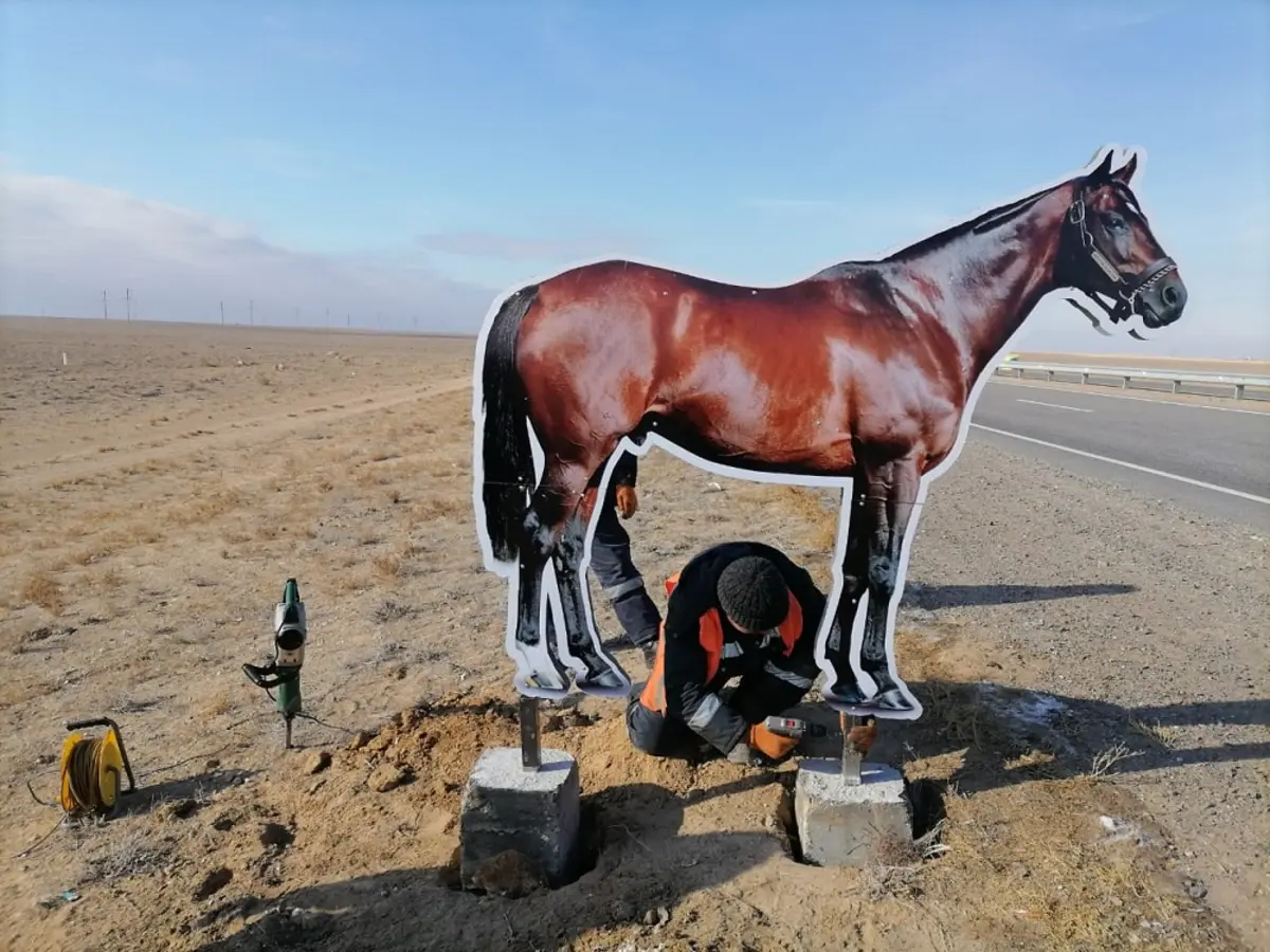 Фото предоставил Канат Сатыев