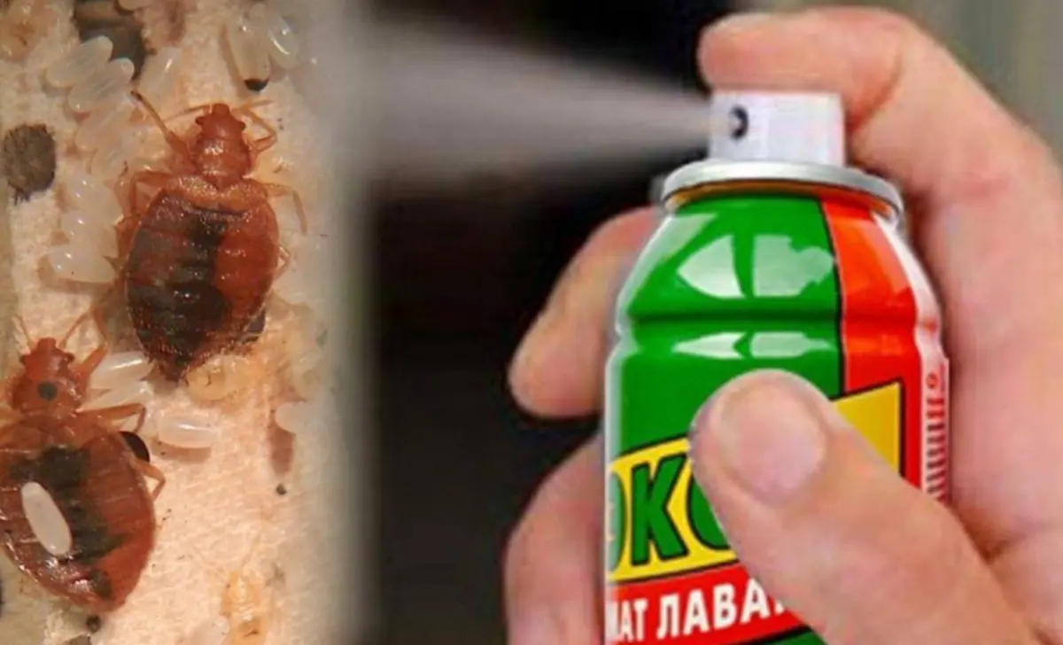 Фото из доступных источников