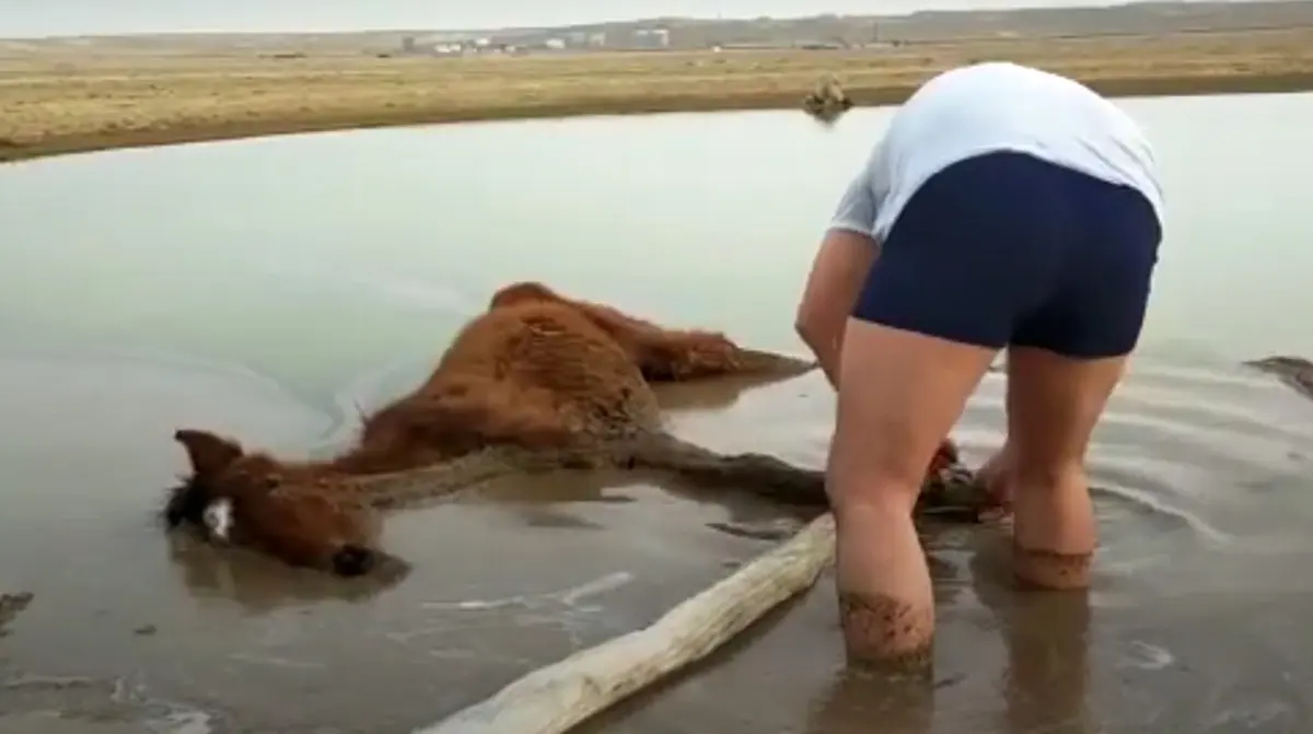 Кадр видео
