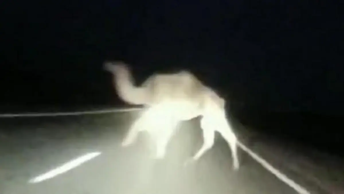 Кадр видео