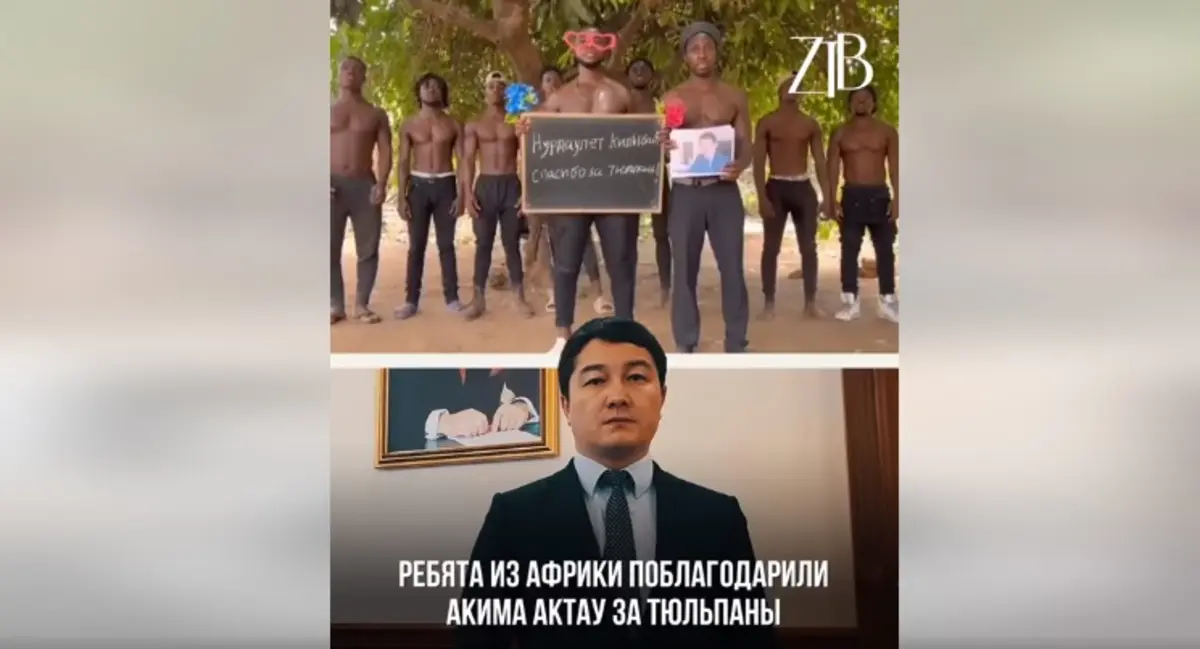 Кадр видео