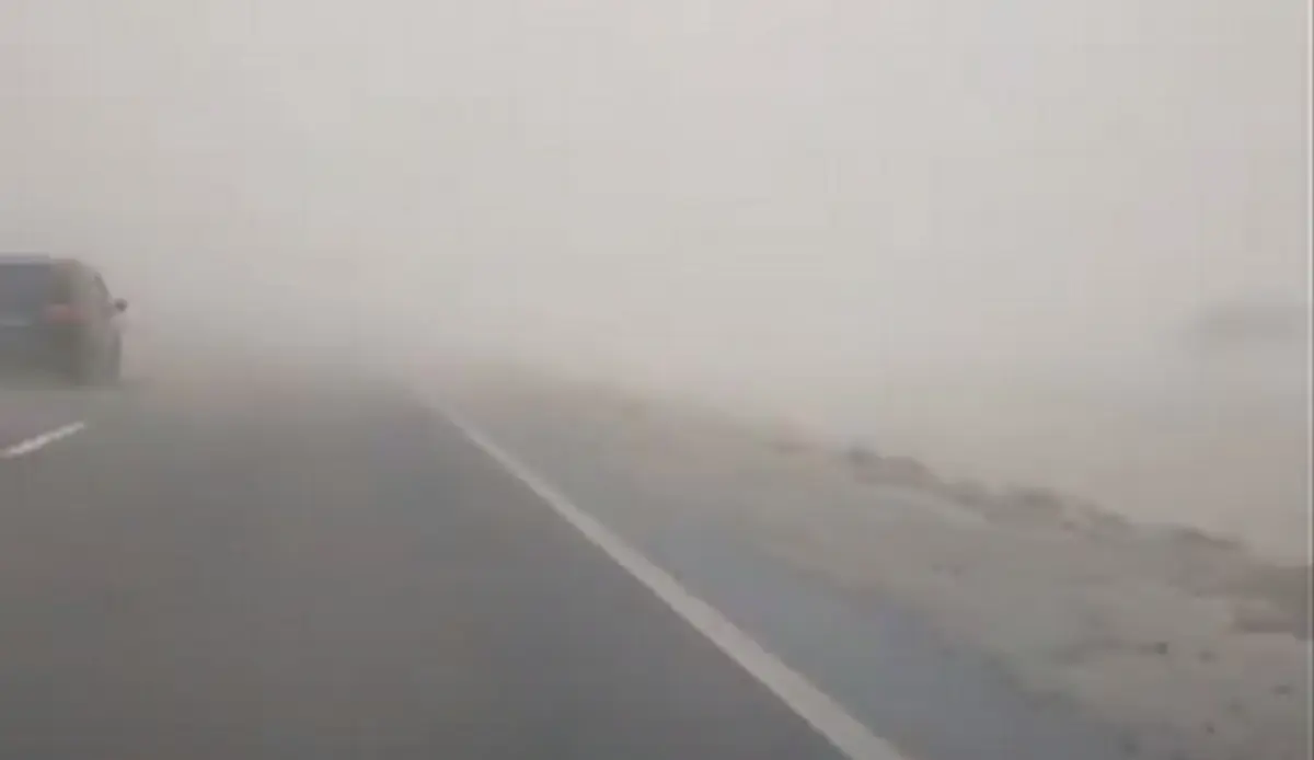 Кадр видео