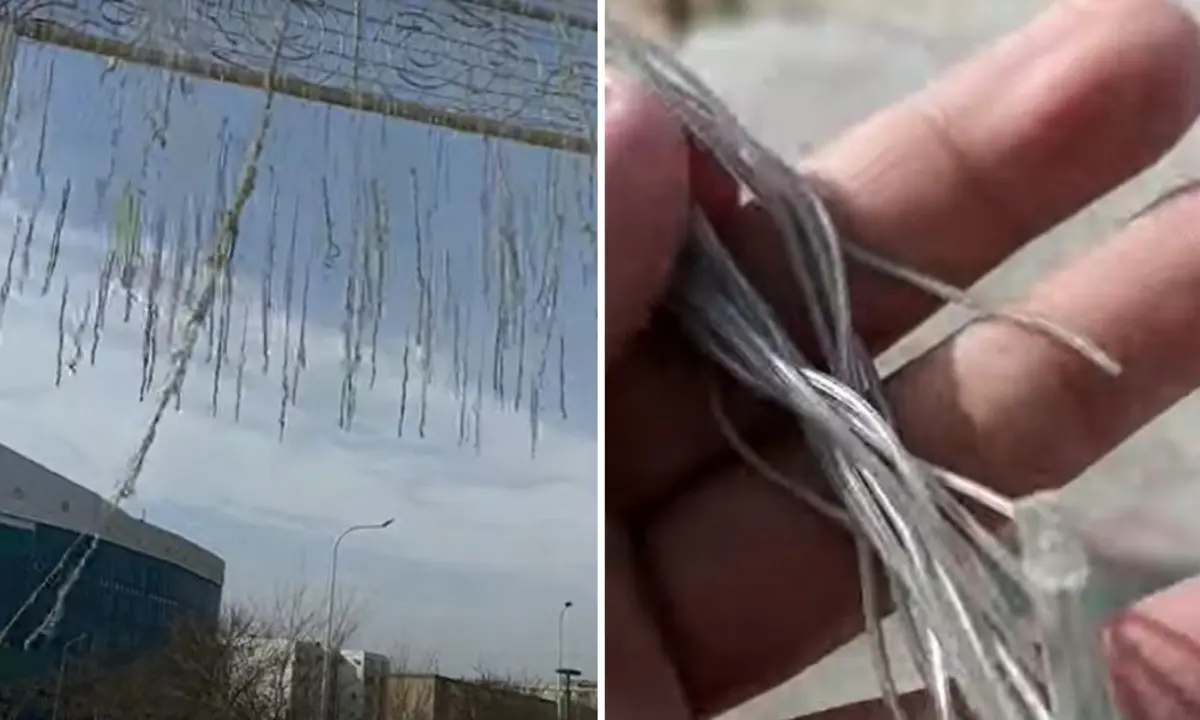 Кадр видео