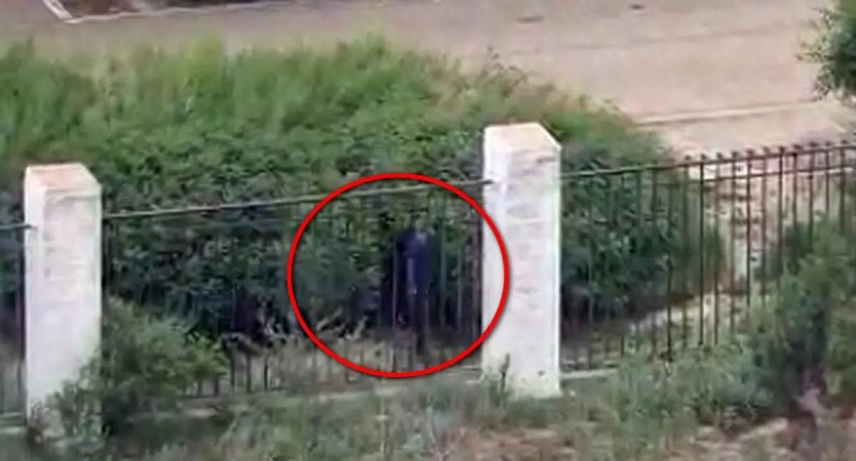 Кадр видео