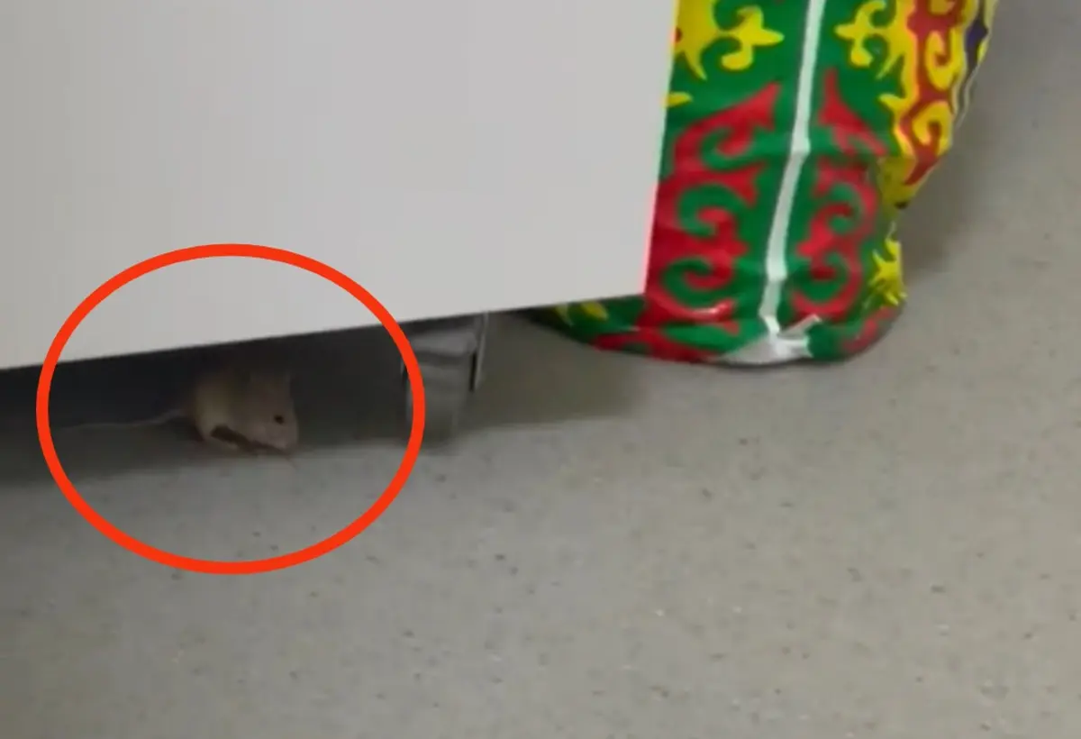 Кадр видео