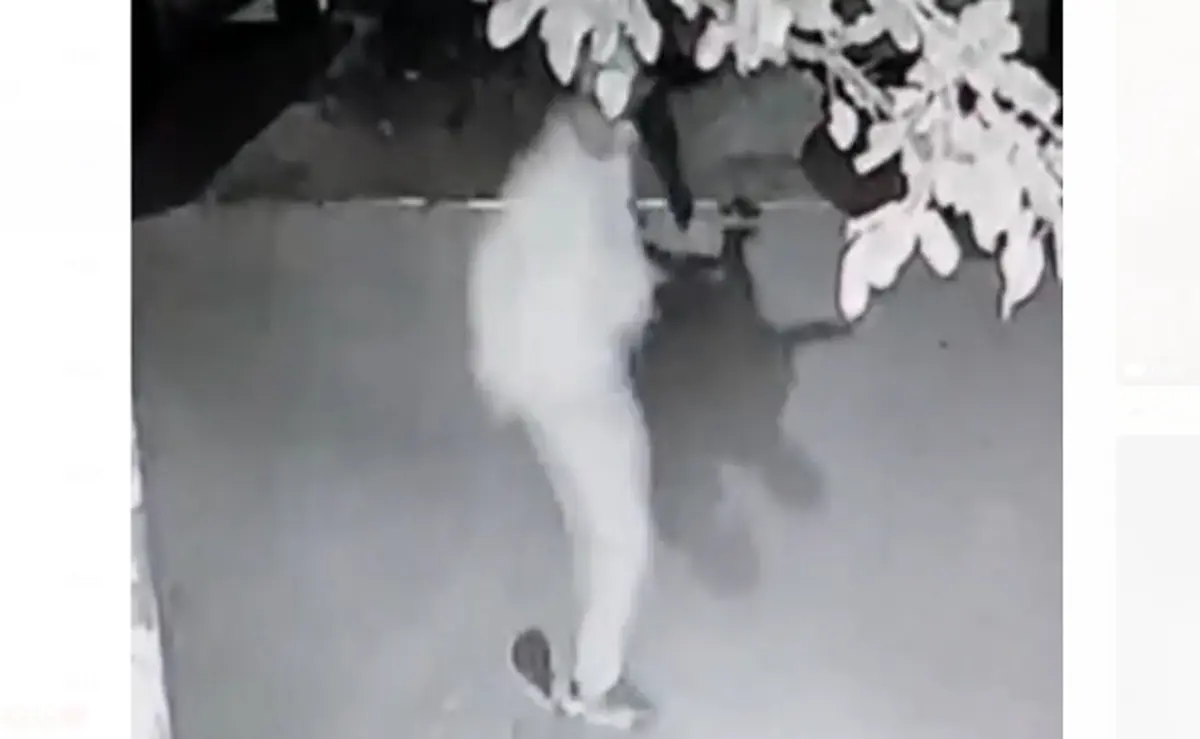Кадр из видео